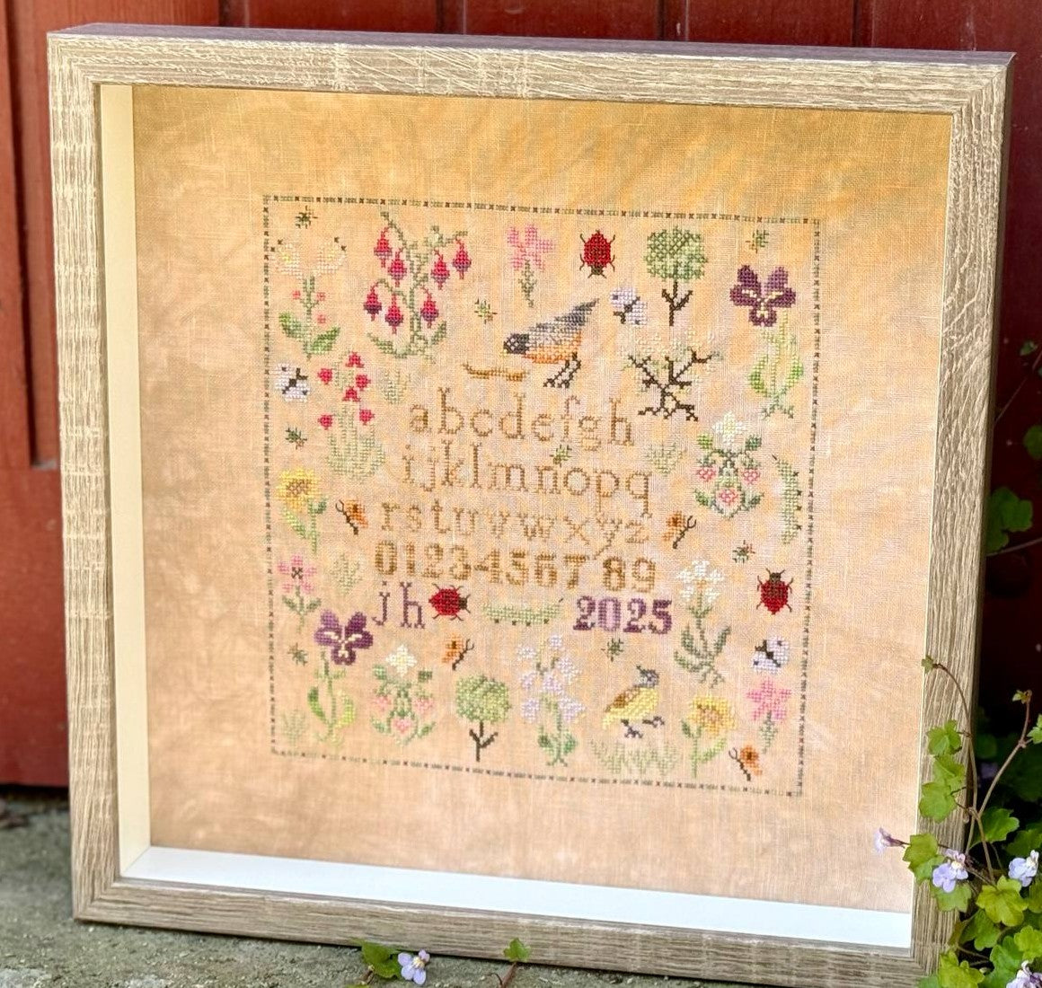 Summer Meadow Sampler